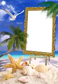 PhotoEffect da categoria Verão № 1471