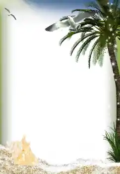 PhotoEffect da categoria Verão № 149037