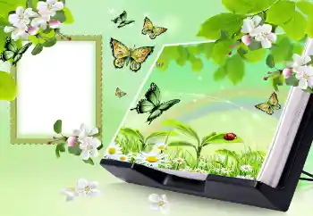 PhotoEffect da categoria Verão № 150647