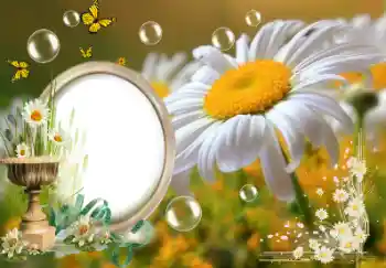 PhotoEffect da categoria Verão № 153157