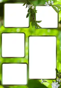 PhotoEffect da categoria Verão № 153242