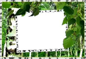 PhotoEffect da categoria Verão № 154334