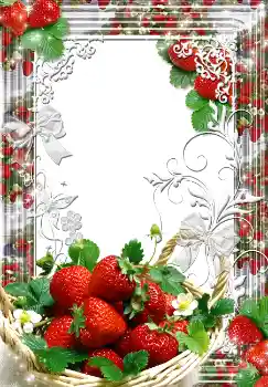 PhotoEffect da categoria Verão № 1557