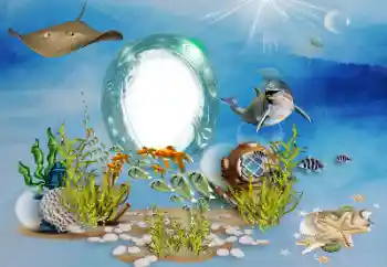 PhotoEffect da categoria Verão № 155863