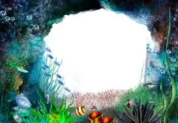 PhotoEffect da categoria Verão № 155944