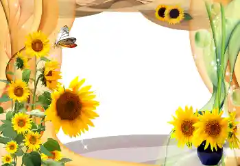 PhotoEffect da categoria Verão № 1566