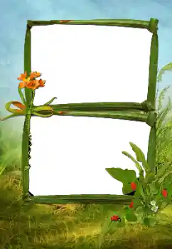 PhotoEffect da categoria Verão № 160630