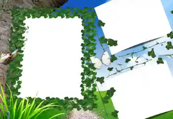 PhotoEffect da categoria Verão № 160662