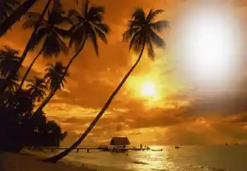 PhotoEffect da categoria Verão № 164793