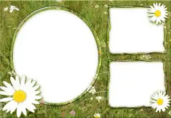 PhotoEffect da categoria Verão № 166475