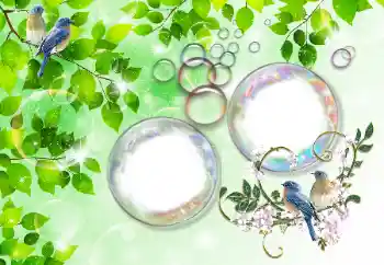 PhotoEffect da categoria Verão № 167832