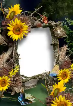 PhotoEffect da categoria Verão № 167902