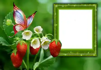 PhotoEffect da categoria Verão № 168002