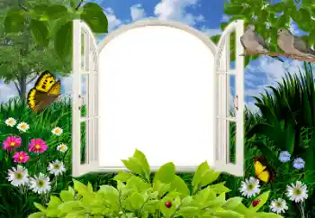 PhotoEffect da categoria Verão № 16945 PhotoEffect da categoria Verão № 16945