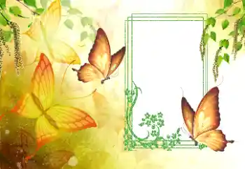 PhotoEffect da categoria Verão № 179561 PhotoEffect da categoria Verão № 179561