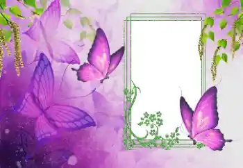 PhotoEffect da categoria Verão № 179562 PhotoEffect da categoria Verão № 179562