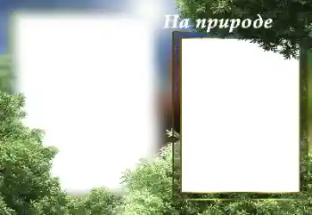 Texto na moldura: On the nature Texto na moldura: On the nature