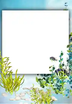 PhotoEffect da categoria Verão № 182182 PhotoEffect da categoria Verão № 182182