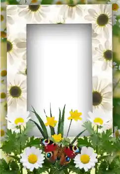 PhotoEffect da categoria Verão № 19247 PhotoEffect da categoria Verão № 19247