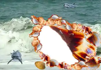 PhotoEffect da categoria Verão № 20185