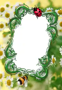 PhotoEffect da categoria Verão № 2253