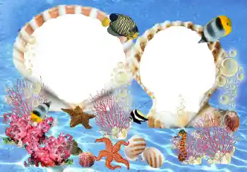 PhotoEffect da categoria Verão № 23210