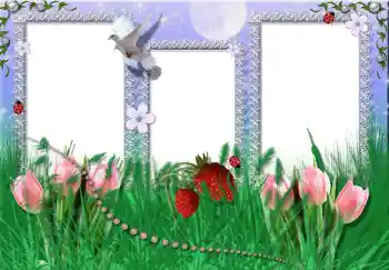 PhotoEffect da categoria Verão № 2396