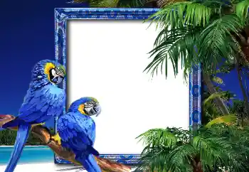 PhotoEffect da categoria Verão № 26552