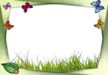 PhotoEffect da categoria Verão № 2756 PhotoEffect da categoria Verão № 2756