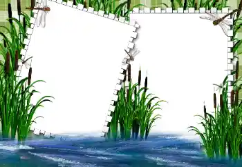 PhotoEffect da categoria Verão № 31862 PhotoEffect da categoria Verão № 31862