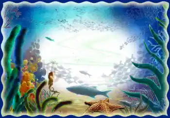 PhotoEffect da categoria Verão № 34028