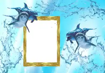 PhotoEffect da categoria Verão № 38603 PhotoEffect da categoria Verão № 38603