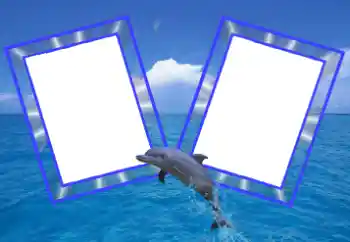 PhotoEffect da categoria Verão № 39109 PhotoEffect da categoria Verão № 39109