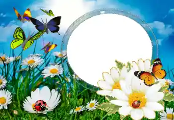 PhotoEffect da categoria Verão № 40377 PhotoEffect da categoria Verão № 40377