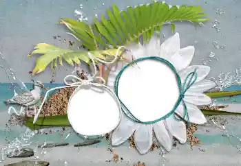 PhotoEffect da categoria Verão № 47208 PhotoEffect da categoria Verão № 47208