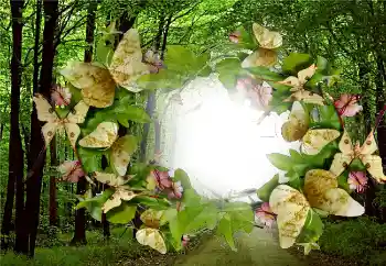 PhotoEffect da categoria Verão № 5287