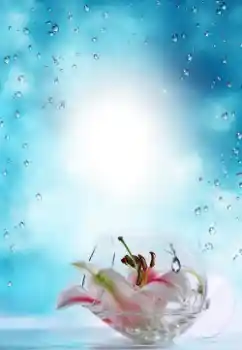 PhotoEffect da categoria Verão № 64487 PhotoEffect da categoria Verão № 64487