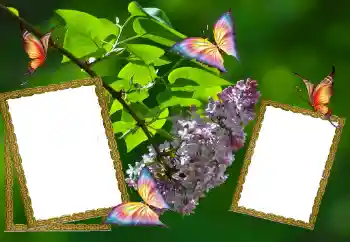 PhotoEffect da categoria Verão № 81627 PhotoEffect da categoria Verão № 81627