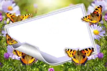 PhotoEffect da categoria Verão № 83943 PhotoEffect da categoria Verão № 83943