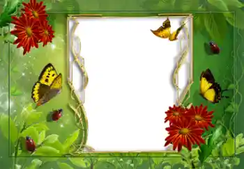 PhotoEffect da categoria Verão № 8625 PhotoEffect da categoria Verão № 8625