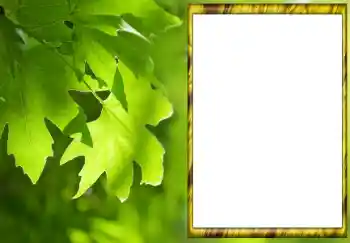 PhotoEffect da categoria Verão № 88033 PhotoEffect da categoria Verão № 88033