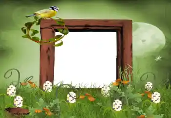 PhotoEffect da categoria Verão № 9650