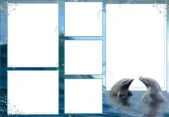 PhotoEffect da categoria Verão № 9676