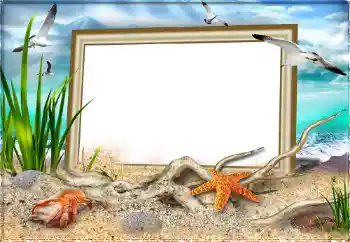 PhotoEffect da categoria Verão № 97613 PhotoEffect da categoria Verão № 97613