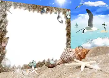 PhotoEffect da categoria Verão № 987