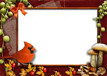 PhotoEffect da categoria Outono № 1013 PhotoEffect da categoria Outono № 1013