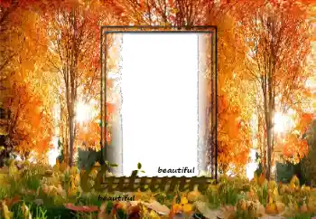 PhotoEffect da categoria Outono № 125870