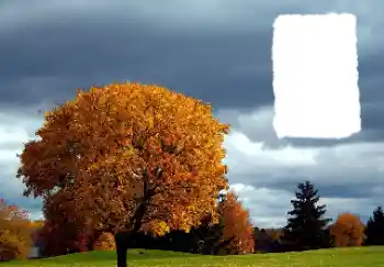 PhotoEffect da categoria Outono № 125889
