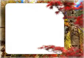 PhotoEffect da categoria Outono № 127331