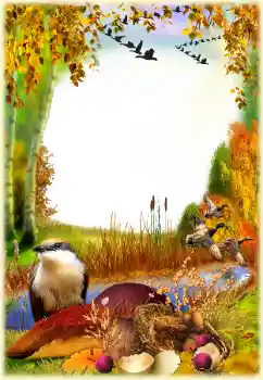 PhotoEffect da categoria Outono № 129768